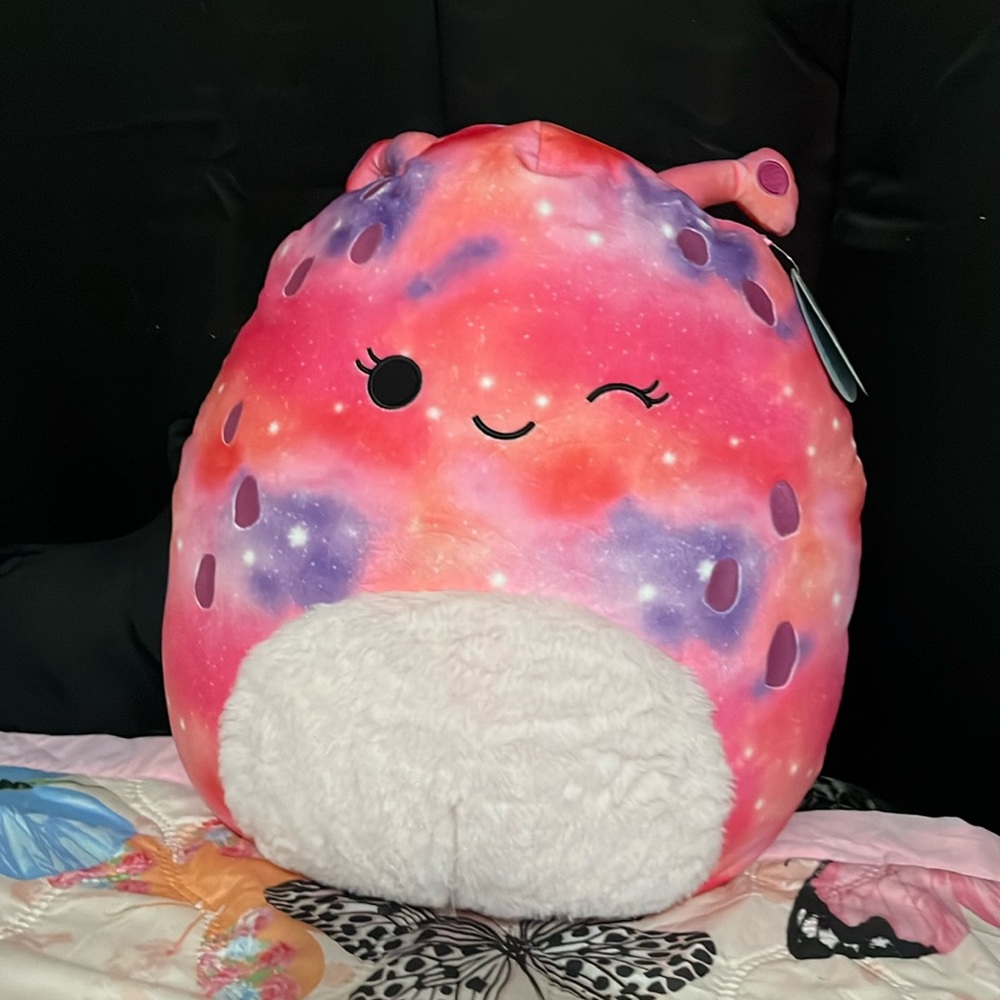 squishmallow with tag